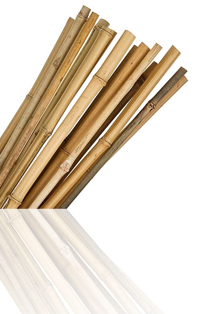 2ft Pack Of 50 Large Thick Bamboo Canes